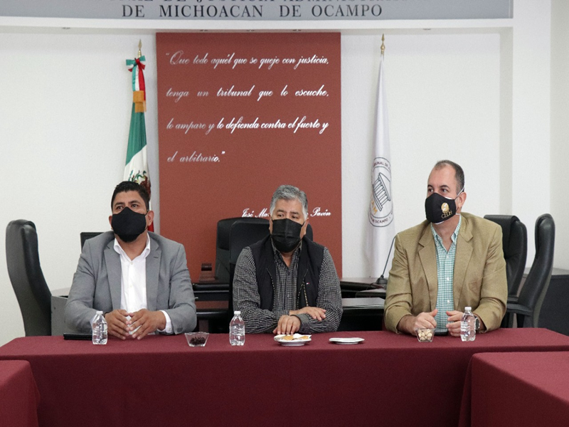 Comparte TJAM experiencia de justicia digital con la CEDH